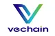 Vechain payment method